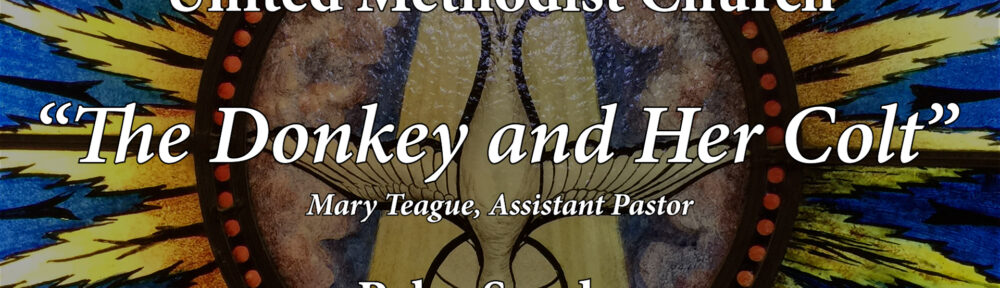 2215 – “The Donkey and Her Colt” | FULL SERVICE